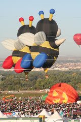 Two Bees Hot Air Balloon